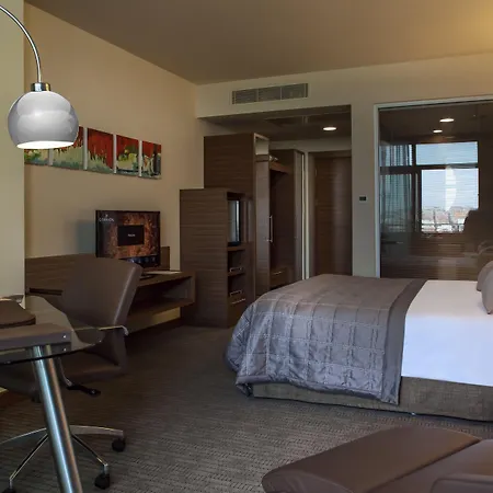 Hotel Gorrion 5*