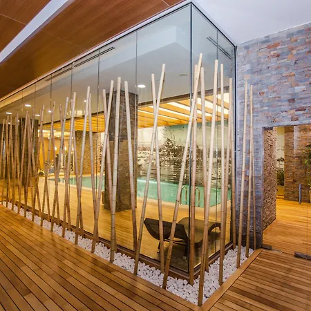 Hotel Gorrion 5*